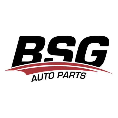 BSG (BSG)