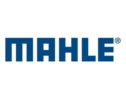 MAHLE (MAHLE)