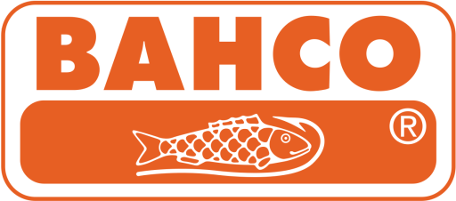 BACHO (BACHO)