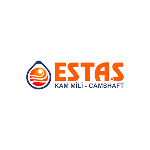 ESTAŞ (ESTAŞ)
