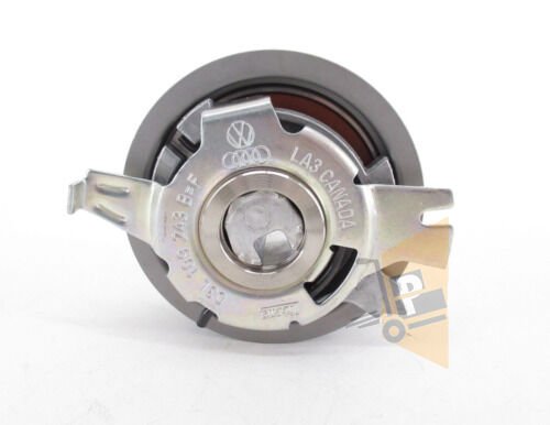 EKSANTRİK GERGİ BİLYASI - 1.6 2.0 TDİ CAY CAYCE CAA 03L109243F 03L109243F