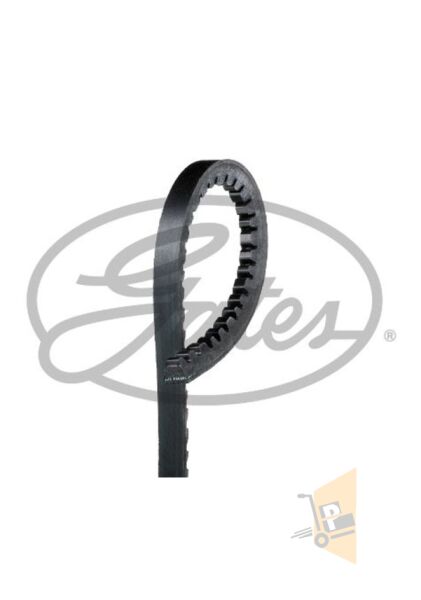 DİREKSİYON POMPA KAYIŞI - 11.5 X 730 1.6D CR JK GOLF1