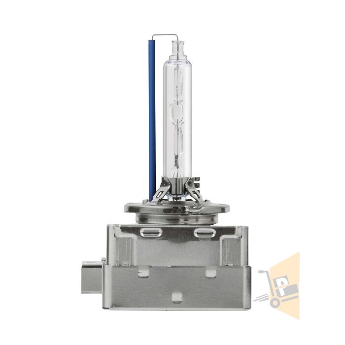 XENON AMPUL D1S