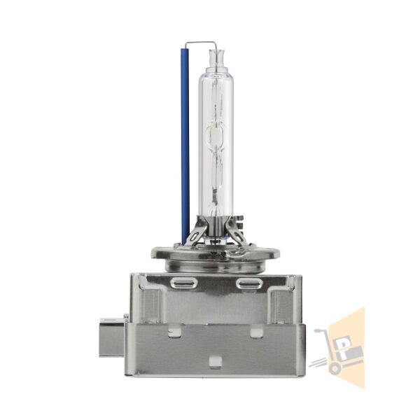 XENON AMPUL D1S