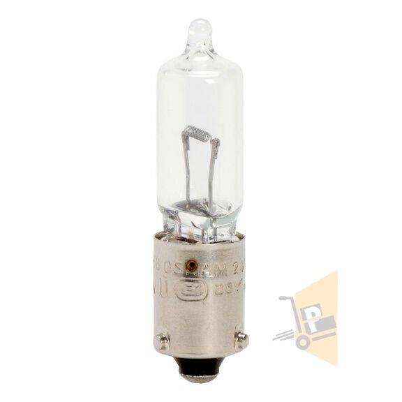 H21 AMPUL 24V12WATT