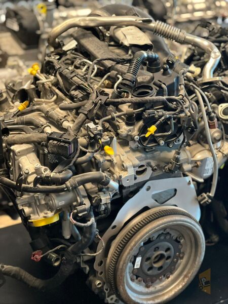 BAZ MOTOR 2.0 TDİ DEK DEK MOTOR